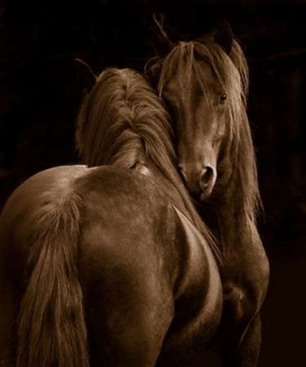 Tenderness I Poster Print by Tony Stromberg - Item # VARPDXS1448D